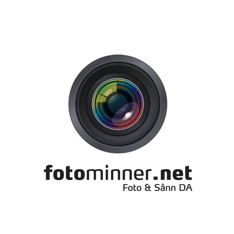 Fotominner logo